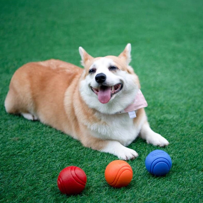 Dog Toys Ball Pet Dog Bouncy Rubber Solid Ball Resistance To Chew Toys Outdoor Throwing Recovery Training for Dogs