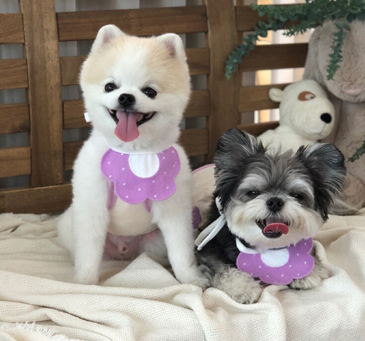 canna Bandana fasciatura triangolare animale domestico fazzoletto da collo sciarpa bavaglini lavabili fazzoletto da collo sciarpa reticolare saliva asciugamano accessori per animali domestici: viola