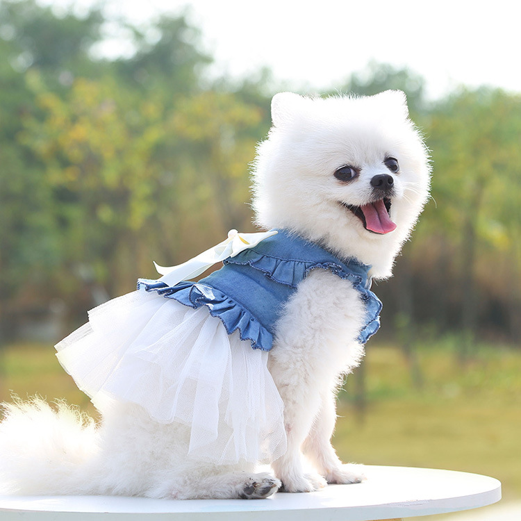 Falda vaquera a la para todas las estaciones, vestido para perro pequeño y mediano, disfraz rosa y blanco para perro, cachorro, gato, ropa de para fotos: White / XS
