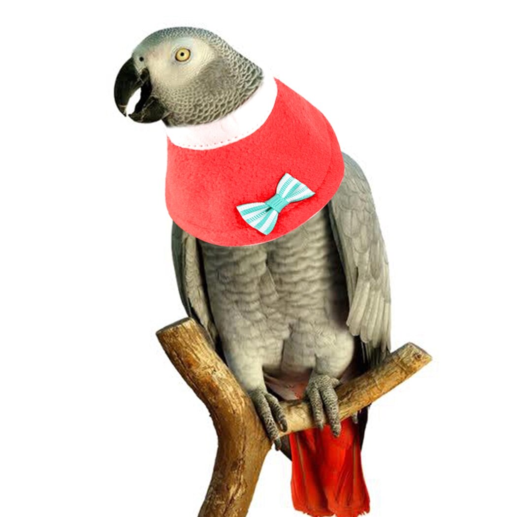 Vogel Herstel Kraag Zachte Verstelbare Papegaai Kraag Elizabethaanse Hals Kraag Voor Kaketoe Liefde Vogel Dierbenodigdheden