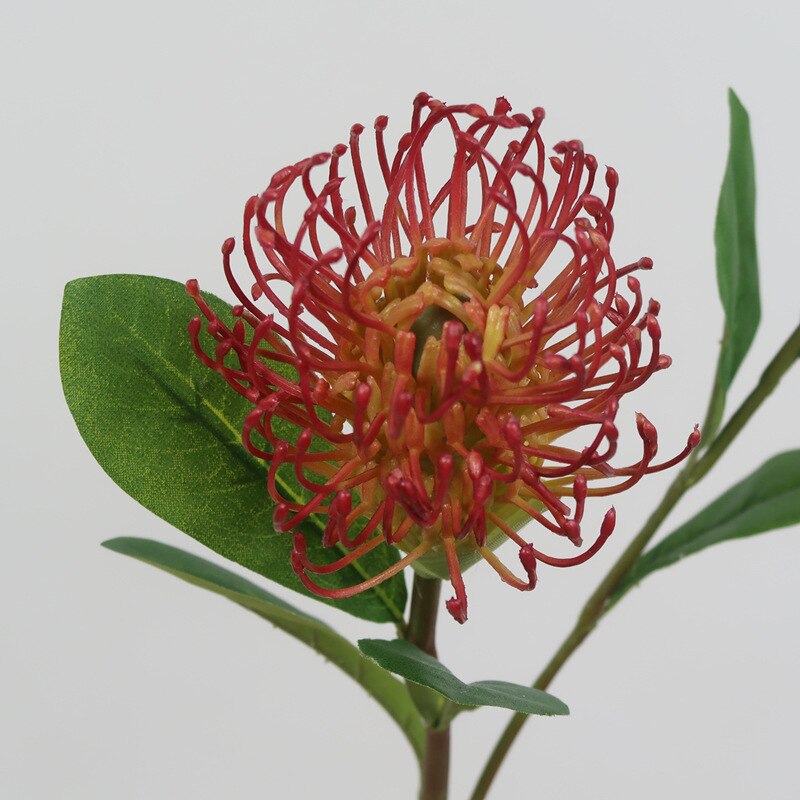 artificial Pincushion Flower Tropical Fox Tail Flower DIY wedding home floral decor