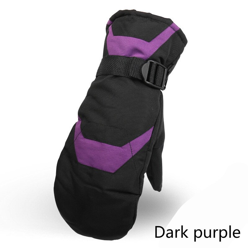 Winter de man wanten van skihandschoenen thermische bescherming waterdichte ski rijhandschoenen: Donkerpaars