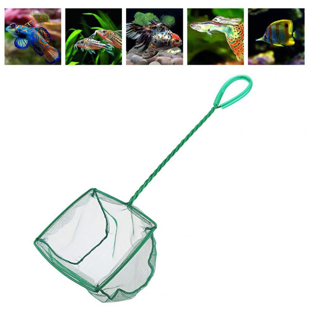 Filet à crevettes de pêche vert poisson à longue poignée, support solide, accessoire d&#39;aquarium à mailles fines, grande capacité pour le transfert