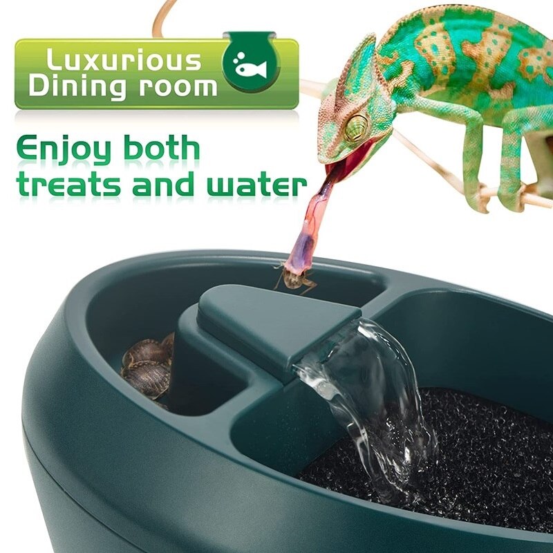 Druppelaar - Terrarium-accessoires kopen? | Korting tot 8