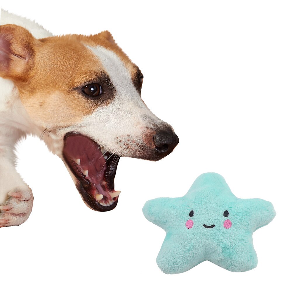 Jouets en peluche de dessin animé interactif | Animal de compagnie, étoile en peluche, entraîneur Vocal, chien BB fort, jouets à mâcher, chien de compagnie, pièces, directe Z618