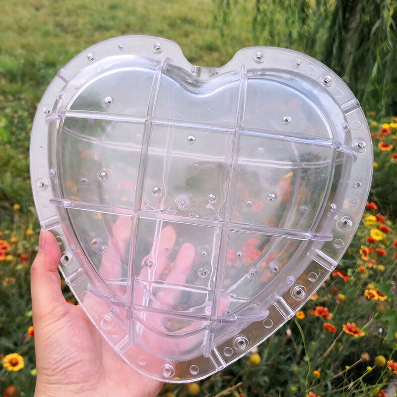 Watermelon Shaping Grow Mold Growth Forming Mold Fruit Shaping Mould Vegetable Growing Mould