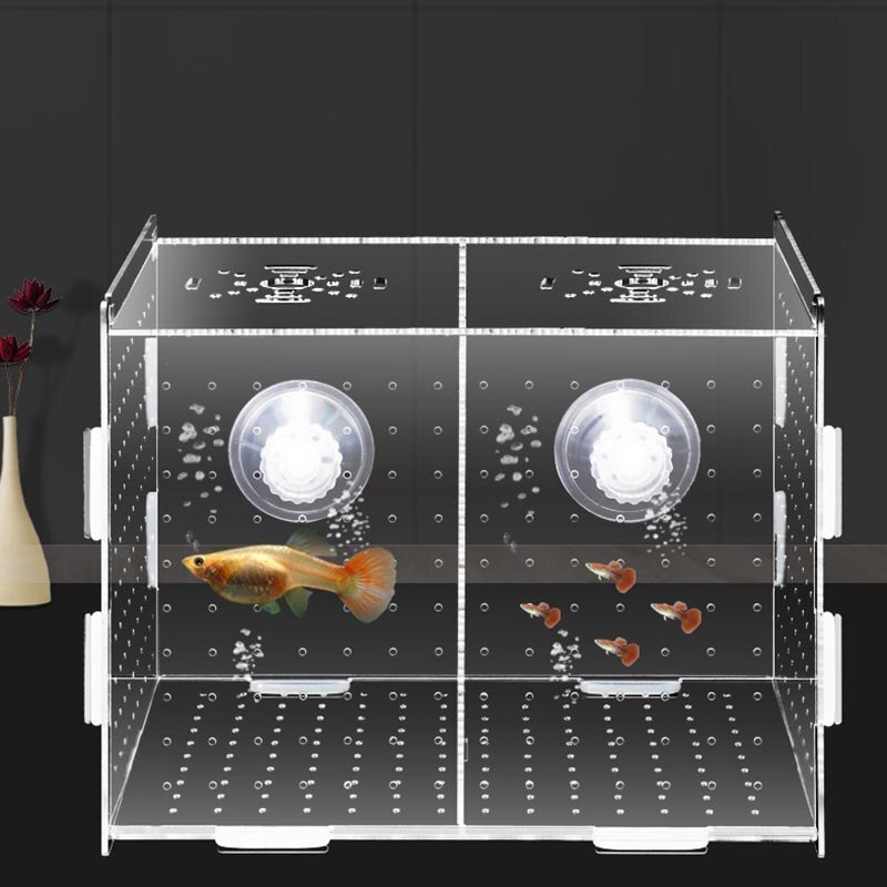 Guppy opdrætsboks akryl akvarium isoleringsboks fiskeæg opdræt etui lille fisk værelse
