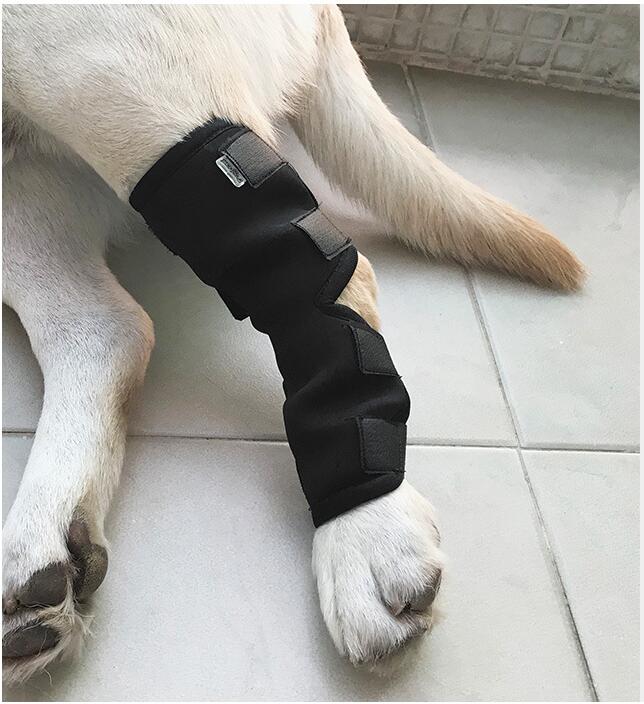 Hundestøttebøjle kæledyrsunderstøttende baghundekomprimering benledfolie beskytter sår og skader