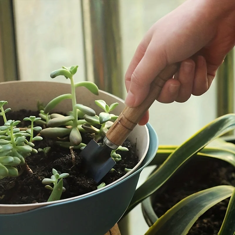 Conjunto de ferramentas de jardim mini kit de jardinagem com espátula de ancinho e pá para plantas suculentas e cultivo de solo