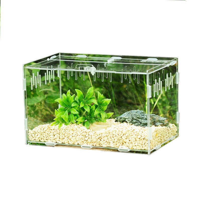 Reptile Tank Insect Spiders Tortoise Lizard Acrylic Transparent Breeding Box Vivarium Lid Reptile Pet Product Terrarium S/L Size