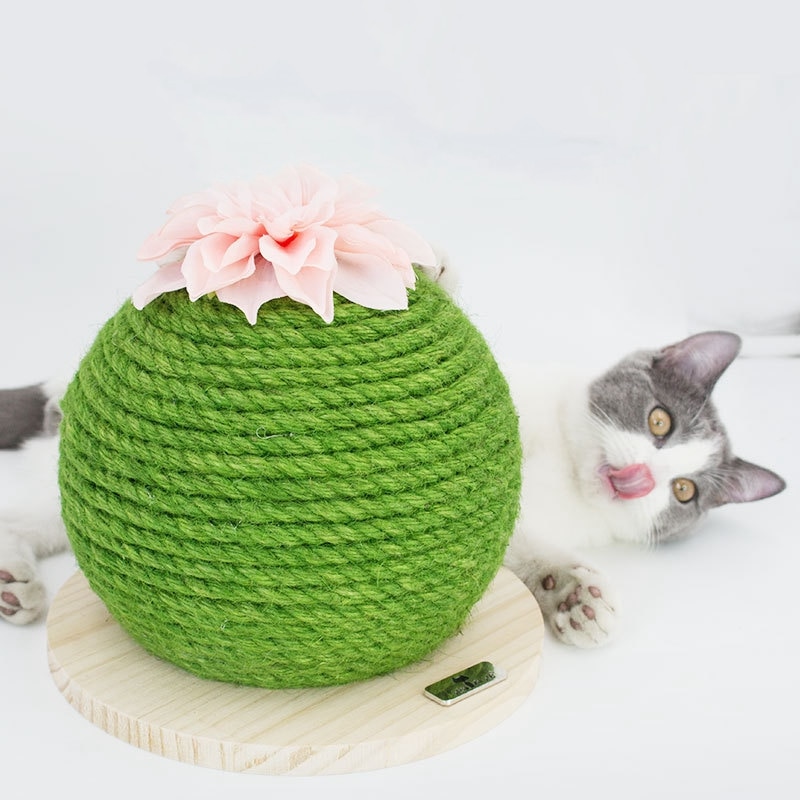 Kat kradsebræt pricky pear kattelegetøj til killing kaktus kat produkt kradsepude sisal kat kradse spil dekoration: Default Title