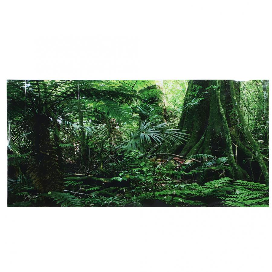 1Pcs PVC Reptile Box Rainforest Background Poster Fish Tank Wall Picture Painting Decoration Self Adhesive Sticker