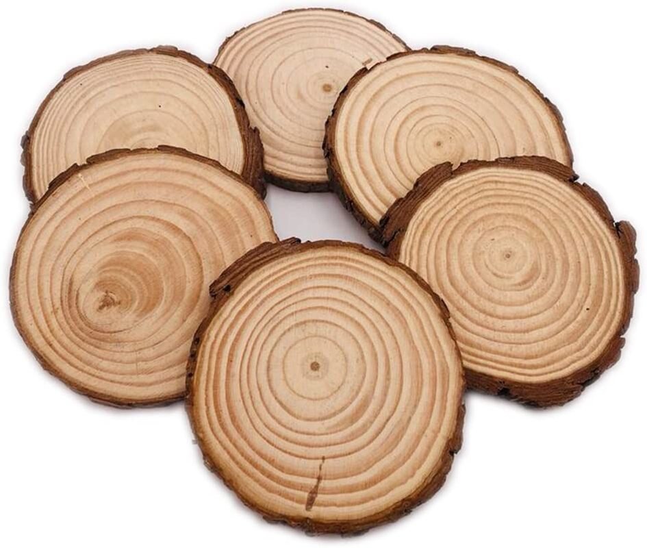 Natural Wood Slices Craft Wood Kit Unfinished Predrilled with Hole Wooden Circles for Arts Christmas Ornaments DIY Crafts