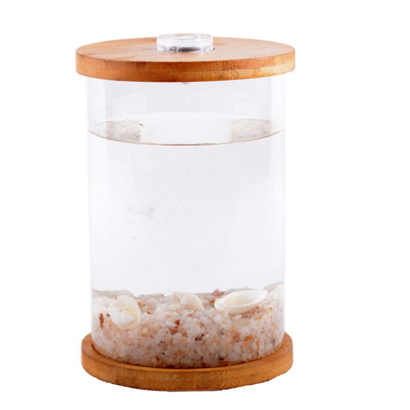 DIY Pattern Ecological Bottle Fish Micro Landscape Aquarium Small Fish Living Bucket Desktop Small Fish Tank