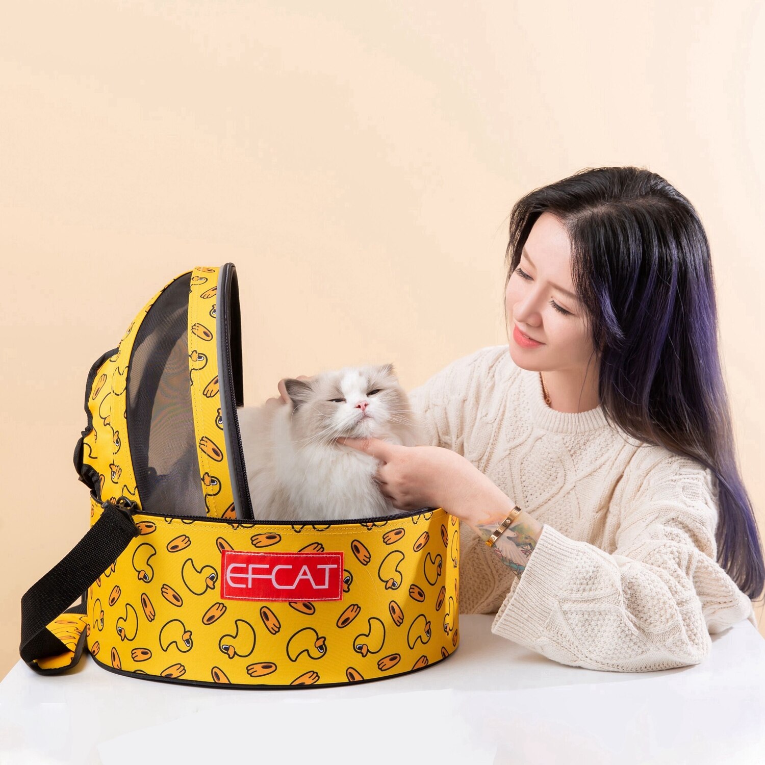 Portable Air Box Dog Cat Bag Car Dog Transport Bag Cat Waterproof Basket Carrier