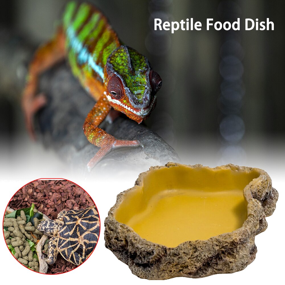 Feeding Bowl Snake Tortoise Pets Water Gecko Lizard Crawler Reptile Food Dish Turtle Feeder Resin Amphibian Landscape Ornament