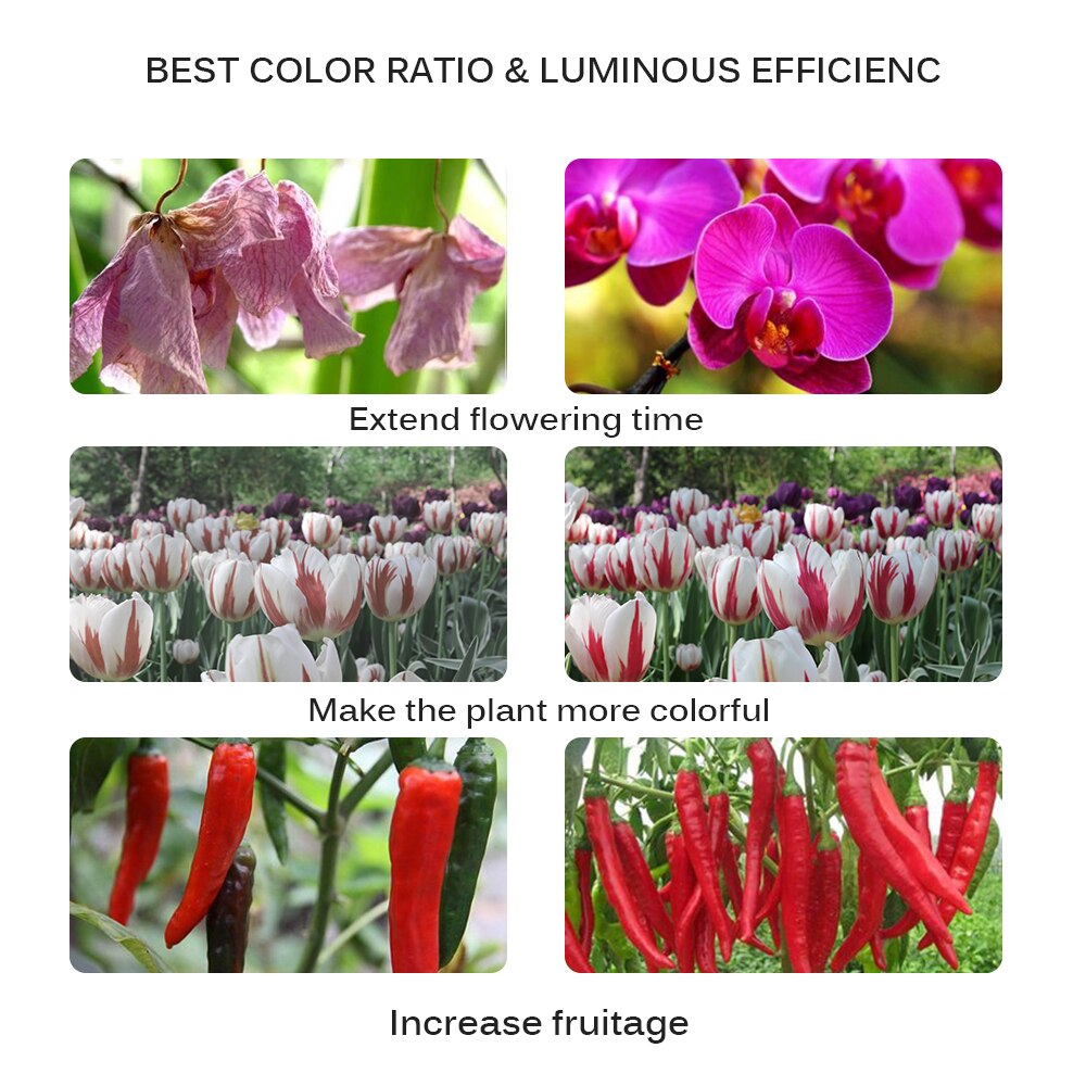 Led full spectrum kweeklamp 100w buiten fytolicht groeilamp voor het zaaien 220v planten in kassen