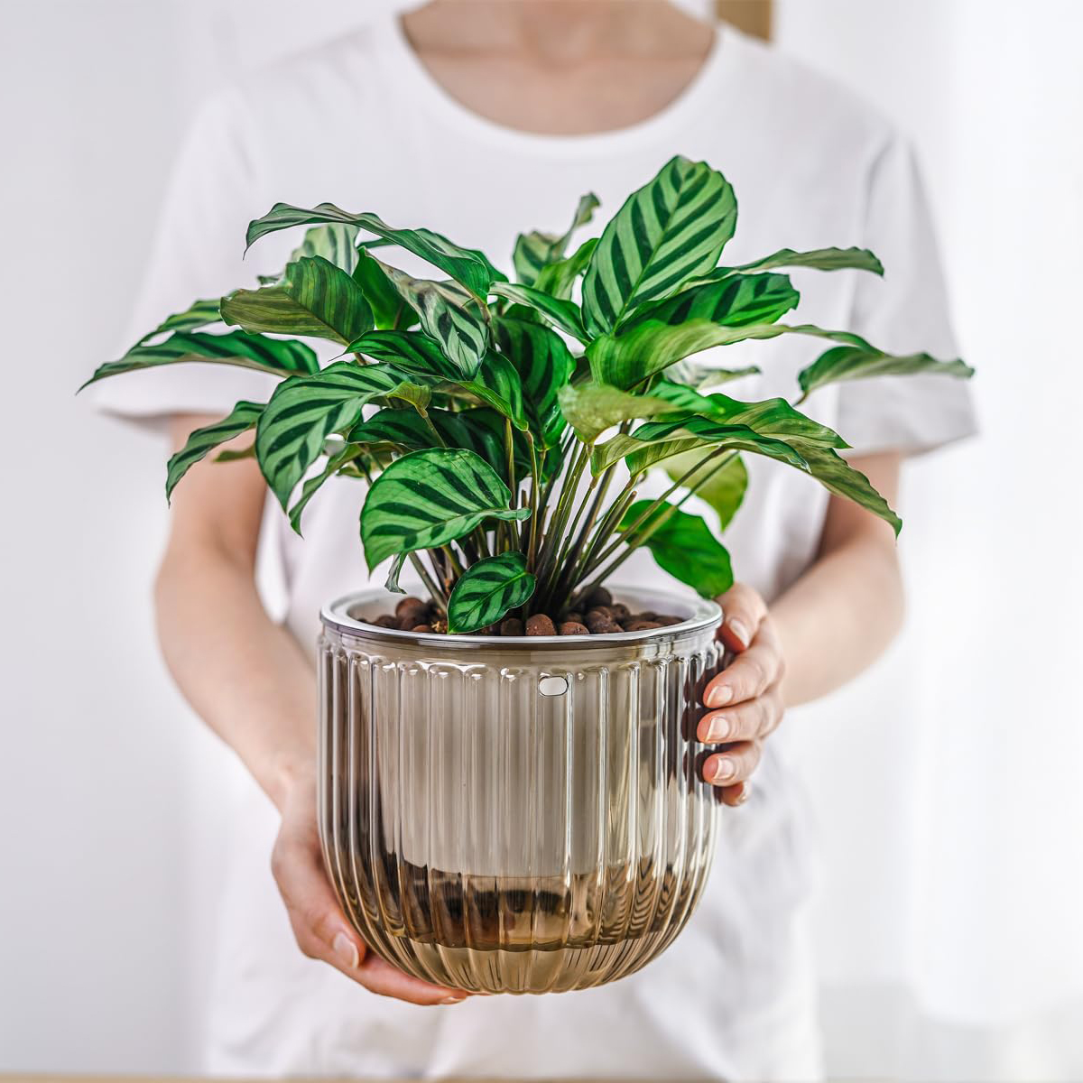 Plant Pot with Water Reservoir Hanging Self-watering Planter Self-watering Hanging Planters with Drainage Holes Stylish for Home