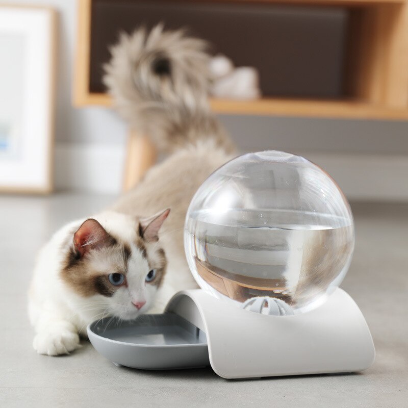 Fontaine à bulles automatique 2,8 l pour chat, bol à boire pour animaux de compagnie, grand abreuvoir pour chat, sans électricité