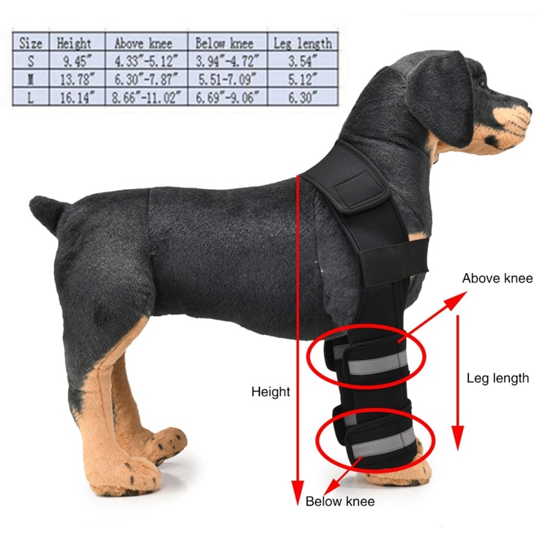 Pet Dog Leg Brace Right/Left Rear Leg Knee Hock Br... – Grandado