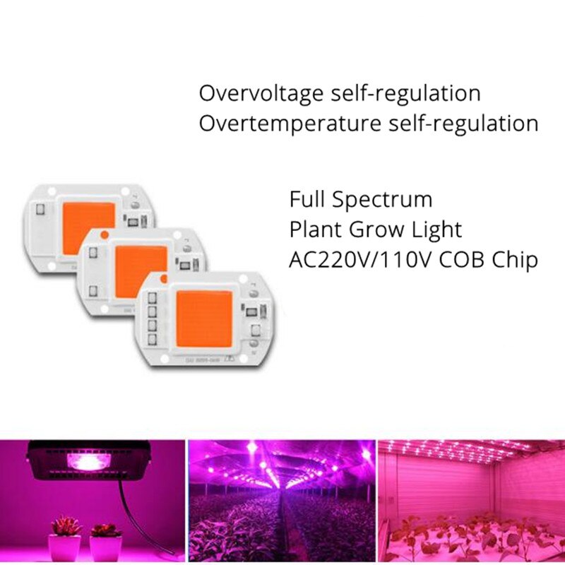 Puce LED COB à spectre complet, module de lampe pour la croissance des plantes, 20W 30W 50W, ac 110V/V, 1 pièces