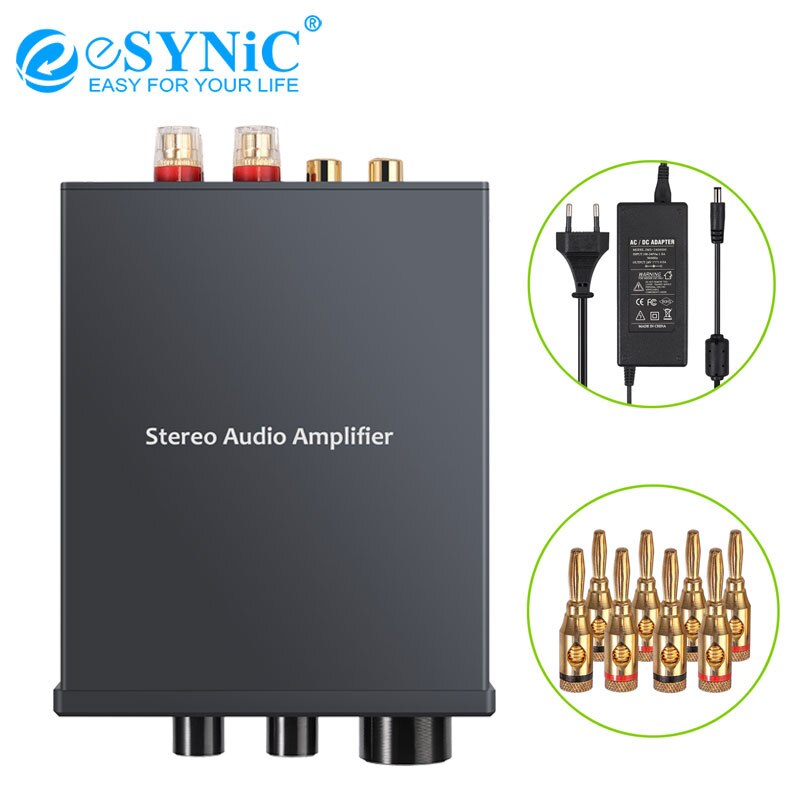 Esynic 2 Kanaals TPA3116D2 Stereo Audio Versterker Hifi Klasse D Geïntegreerde Digitale Rca Amp 12V 25V Voor Thuis speaker 50W + 50W