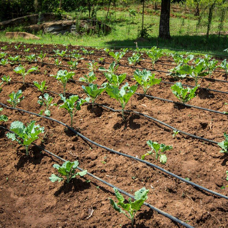 10m/20m Watering Hose 4/7 mm Garden Drip Pipe PVC Hose Irrigation System Watering Systems for Greenhouses Watering Hose