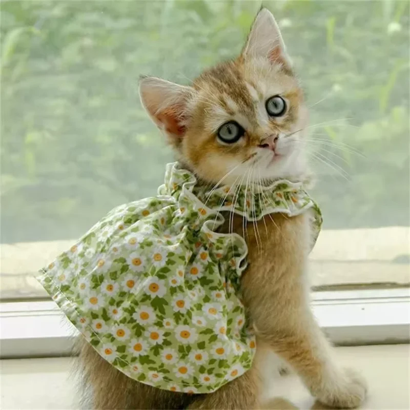 Huisdierkleding Lente/zomer Kleine kat/hond Kleine madeliefje Schouderriem Prinsessenjurk Huisdierkleding Kitten/hond Zachte jurk