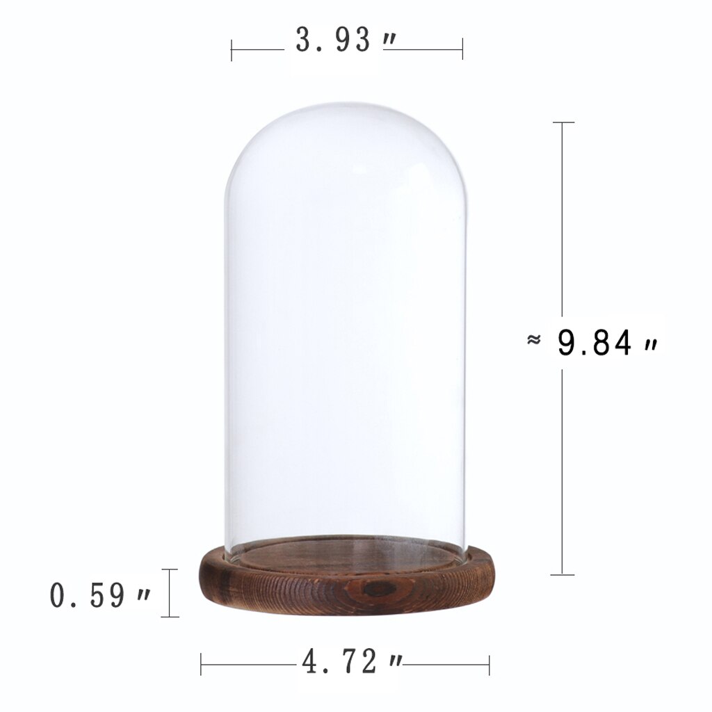 Glass Cover Dome Container with Base for Flower Rope Lights Party Cupcake Display Decor: Brown D as describe