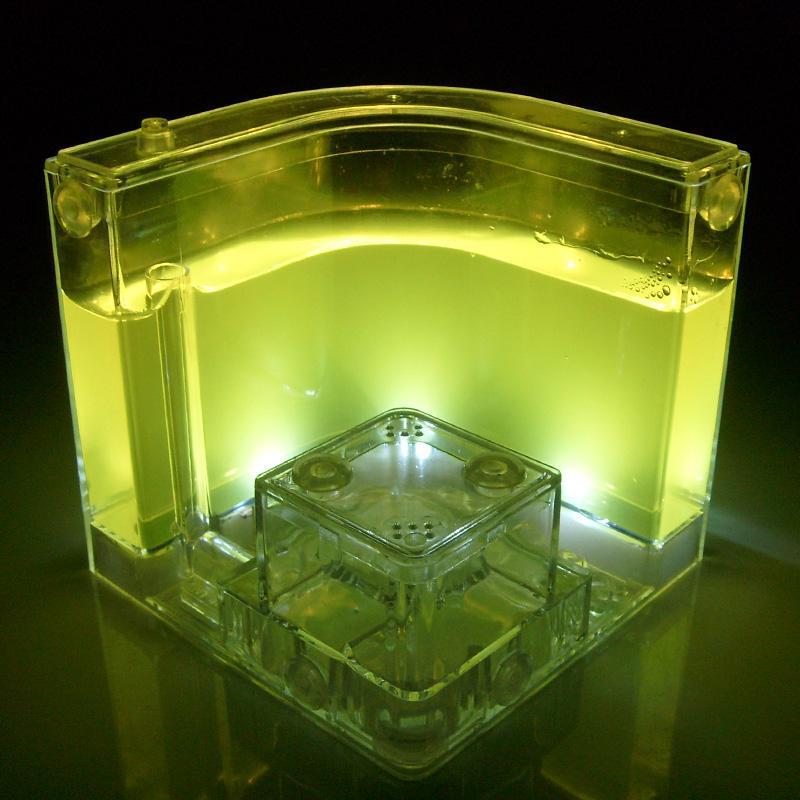 USB Colorful Insect Feeding Box with LED Light Ant Farm Ant House Castle Insect Box Ecological Toy Education Model: Yellow