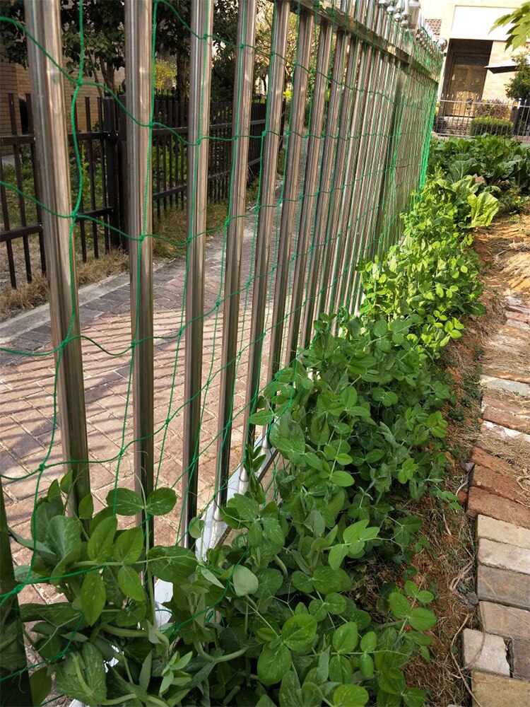 Filet en rotin pour plantes grimpantes, filet horticole, pour fleurs, Fruits et autres ornements de jardin, filet en rotin et filet en plastique