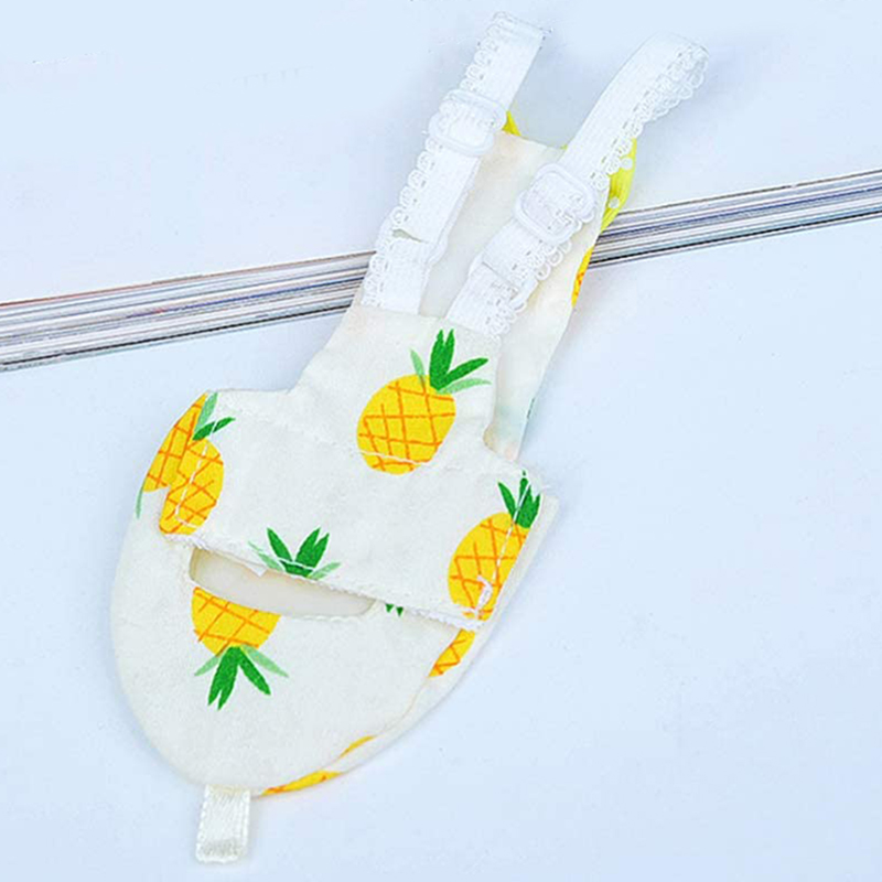 2Pcs Bird Diaper Reusable Washable Parrot Nappies Clothes Flight Suit Dress For Parakeet Cockatiel African Macaw