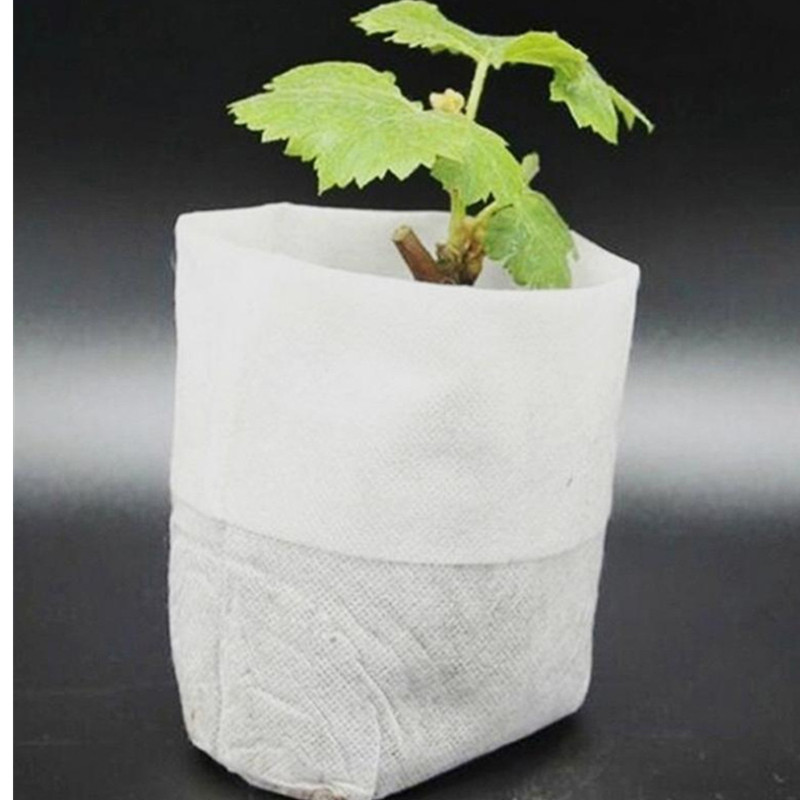 ibasenice 5 Sets Grondloze Bloempotten Plant Hydrocultuur Groeiend