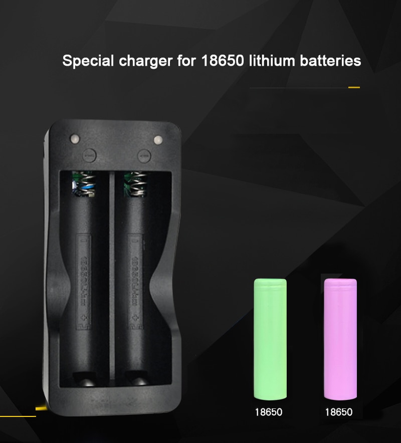 VOXLINK 18650 chargeur de batterie EU 2 fentes chargeur de batterie Rechargeable Li-ion de charge intelligente