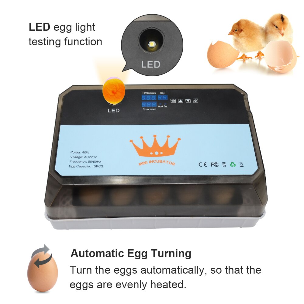 Mini incubadora automática de 15 huevos para pollo, Ganso, pájaro, codorniz, equipo de incubación, herramientas de incubación