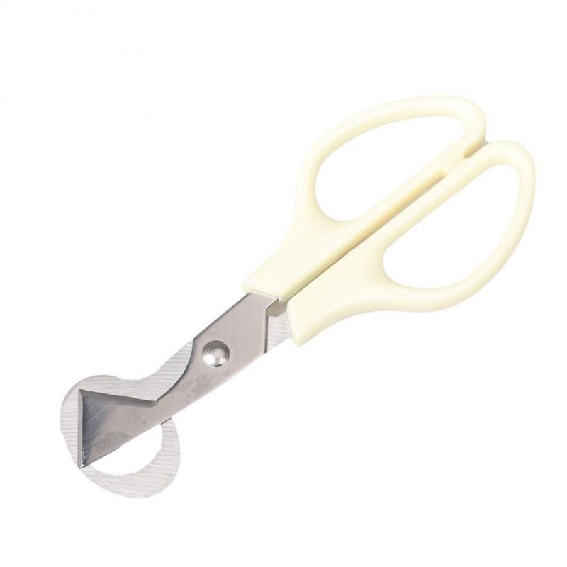 Ouvre-ciseaux pour œufs de caille, outil de ciseaux pour œufs de Pigeon, gadget de cuisine: 04