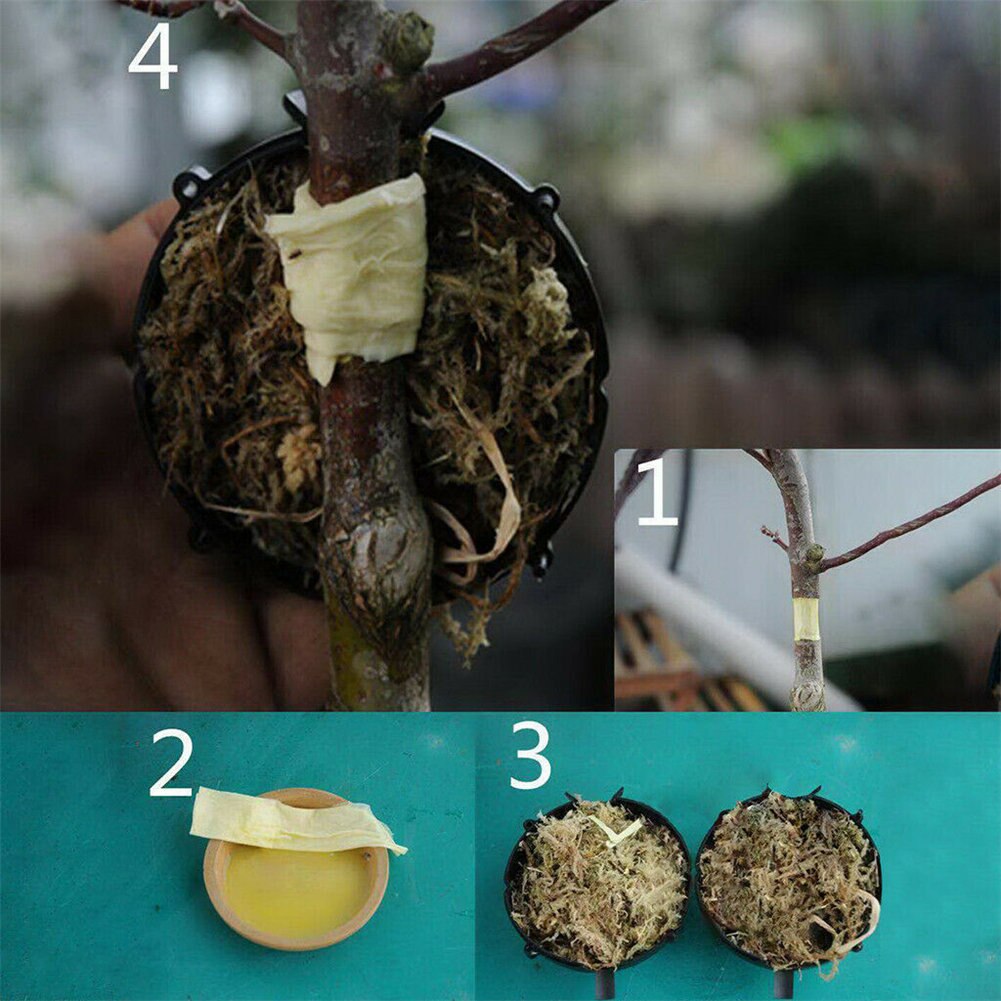 High Pressure Plant Root Growing Box Plant Propagator Plant Rooter Box FAS6