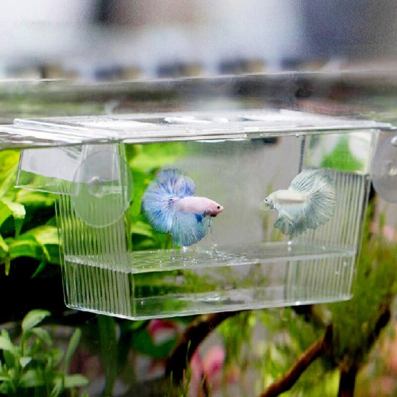 Acuario peces criador caja bebé criadero de peces aislamiento red tanque de peces caja incubadora acuario de suministros