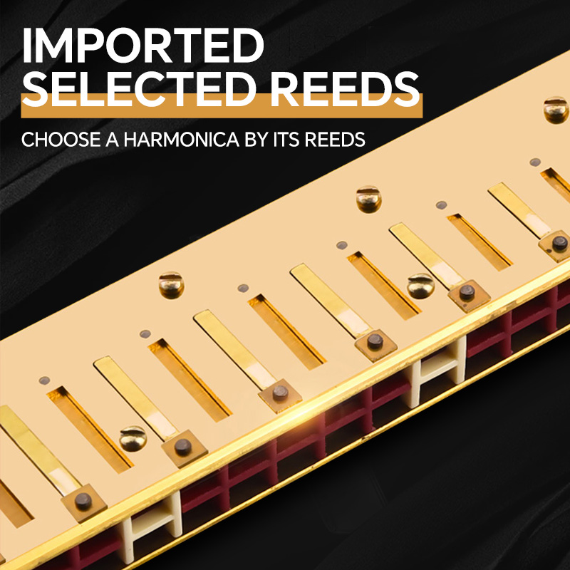 SUZUKI Armónica Tremolo Estudio 24 teclas de C Versión de 5 colores Estudio de armónica polifónica-24 Tremolo 24 C Llave de C japonesa