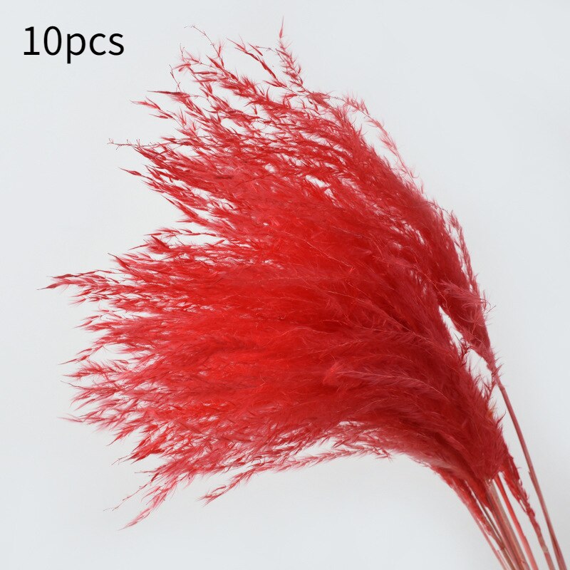 10Pcs Dry Dried Small Pampas Grass Flowers Pantas Artificiales Para Decoracion Real Plants Home Decor Wedding Decoration: small red