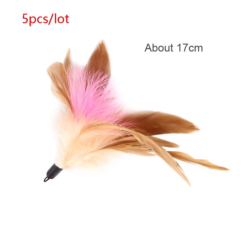 pawstrip 5pcs/lot Cat Ball Toy With Jingle Bell Inside Kitten Toys Pet Cat Teaser Colorful Balls Toy For Cats Diameter 3.5 cm: Feather Replacemtn