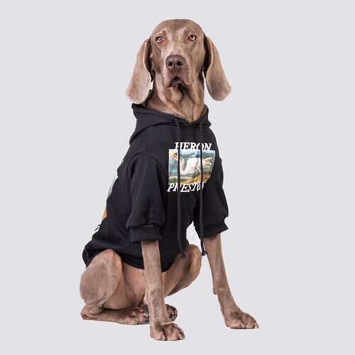 Large Dog Clothes Spring and Autumn Dog Sweatshirt Golden Retriever Labrador Doberman Dog Hoodie Dog Clothes Dog Accessories: large dog 7