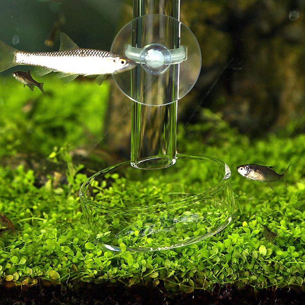 Behogar rejer foder fad akryl rejer foder med 6cm skåle til akvarie akvarium fiskefoder foderrør 2 x 27cm