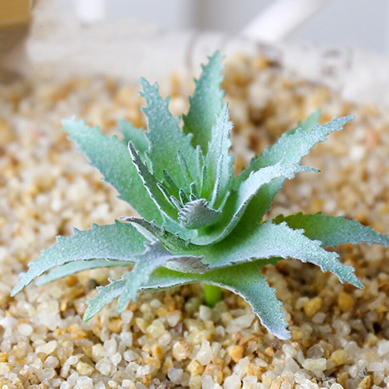 1Pc Groen Paars Rood Massaal Kunstmatige Vetplanten Planten Tuin Decoratie Bloemstuk Badkamer Accessoires Plant: Style36