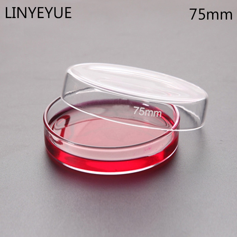 10 stk / pakke 75mm glas petriskål bakteriekulturskål borosilikatglas kemi laboratorieudstyr
