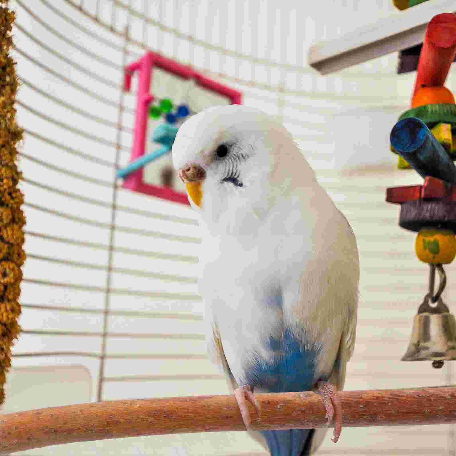 4pcs Bird Perch Pole Parakeet Standing Branch Parrot Climbing Wood Perch