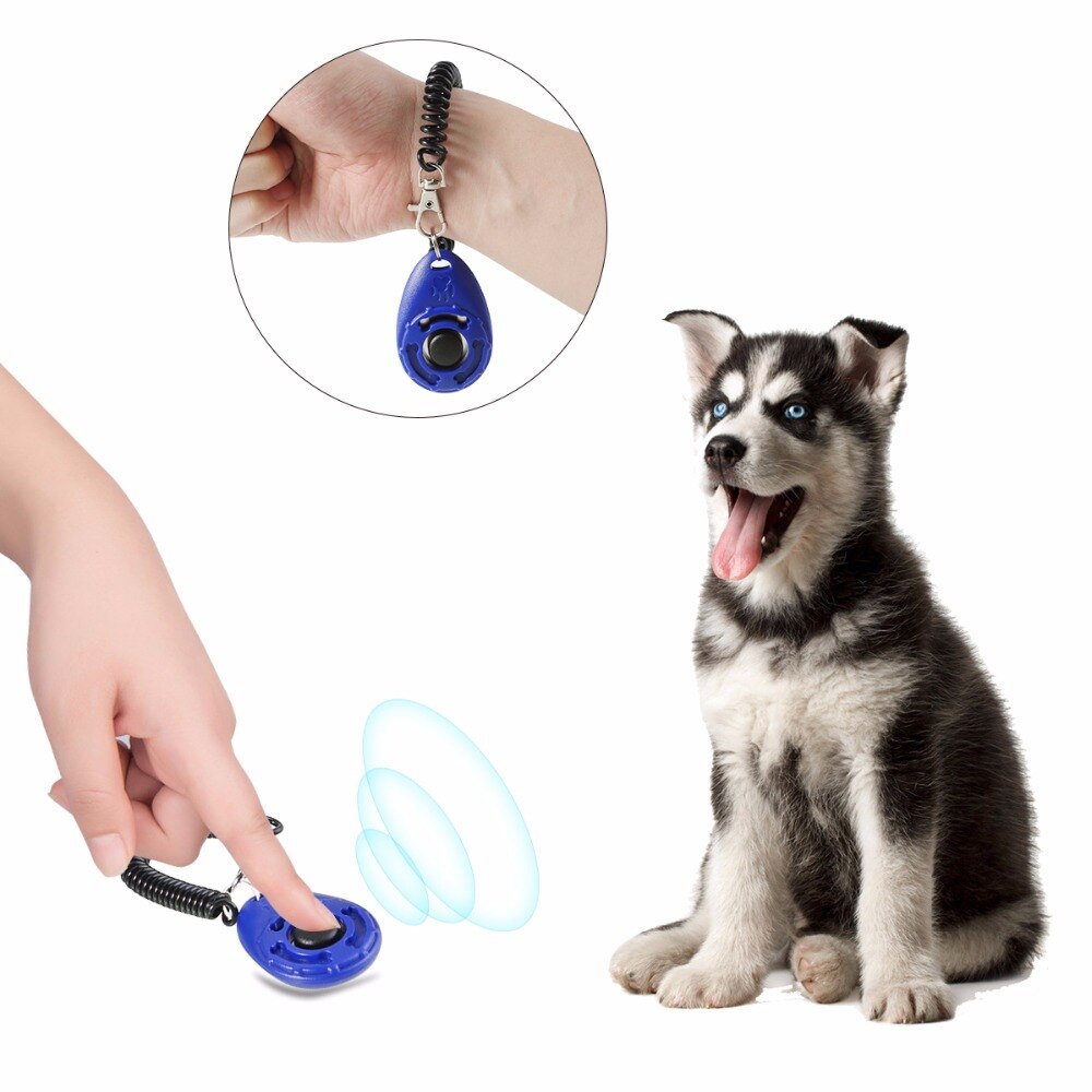 Hundbehandlingspåse förvaringsväska för sällskapsdjursfodral hållare 3 sätt bär belöningsväska + vikbar skål +1 rem / bälte + klickar utbildningsset
