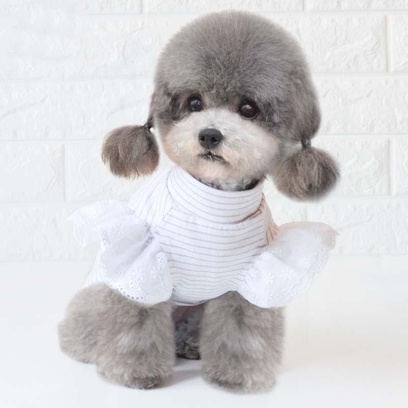 Vêtements pour chiens printemps et été vêtements pour chiens vêtements pour animaux de compagnie petit chien vêtements chien vêtements de fond chiot vêtements quatre saisons