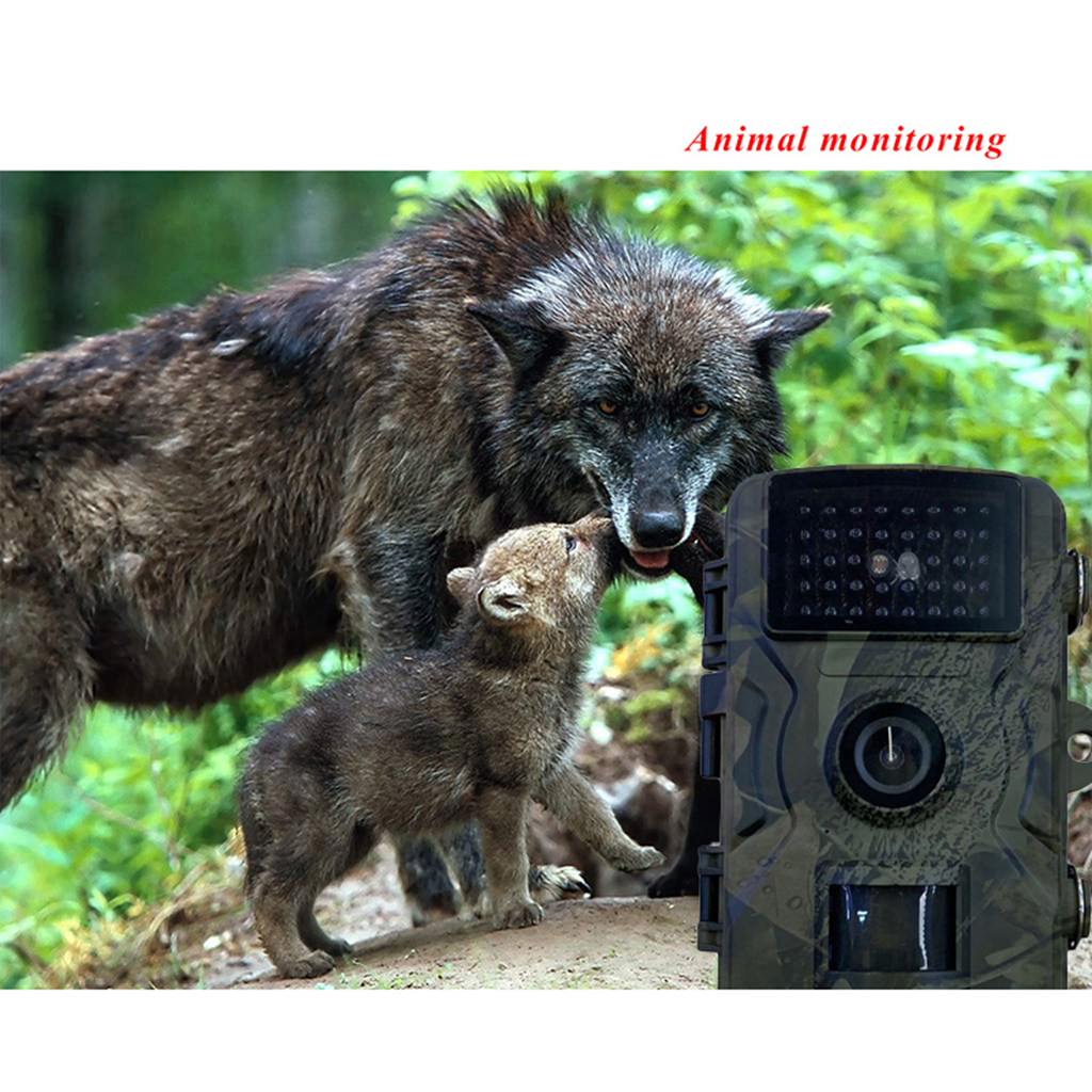 Trail Game Camera 12MP with Night Vision Motion Activated 1080P Hunting CamerasUpgraded Waterproof for Outdoor Wildlife Watching