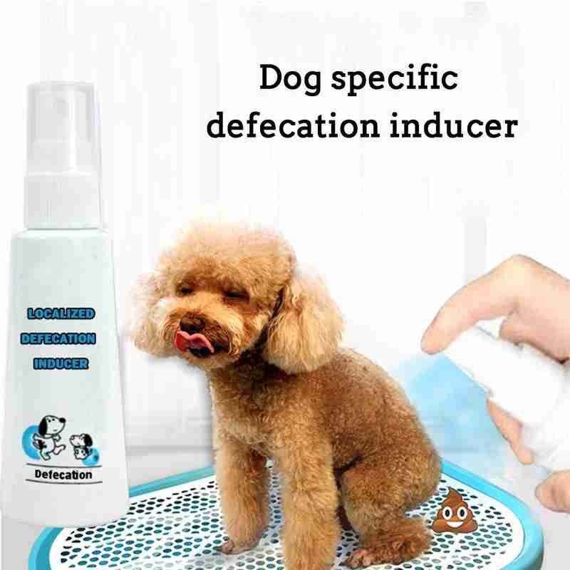 60 Ml Hond Specifieke Ontlasting Inductor Potje Puppies Positionering Regelmatige Huisdieren Vloeibare Lokstof Pee Training Wc Tool Spra N3N3